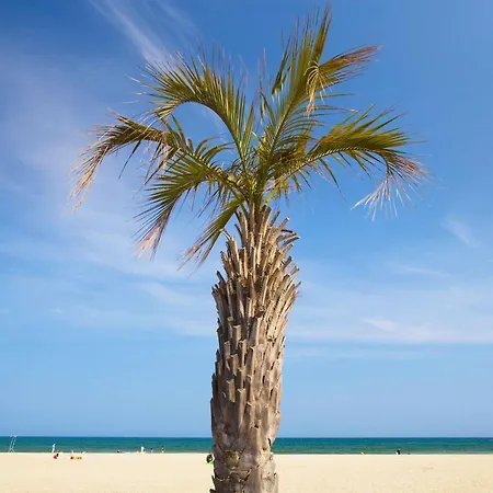 Ξενοδοχείο Hotelf1 Sud Περπινιάν